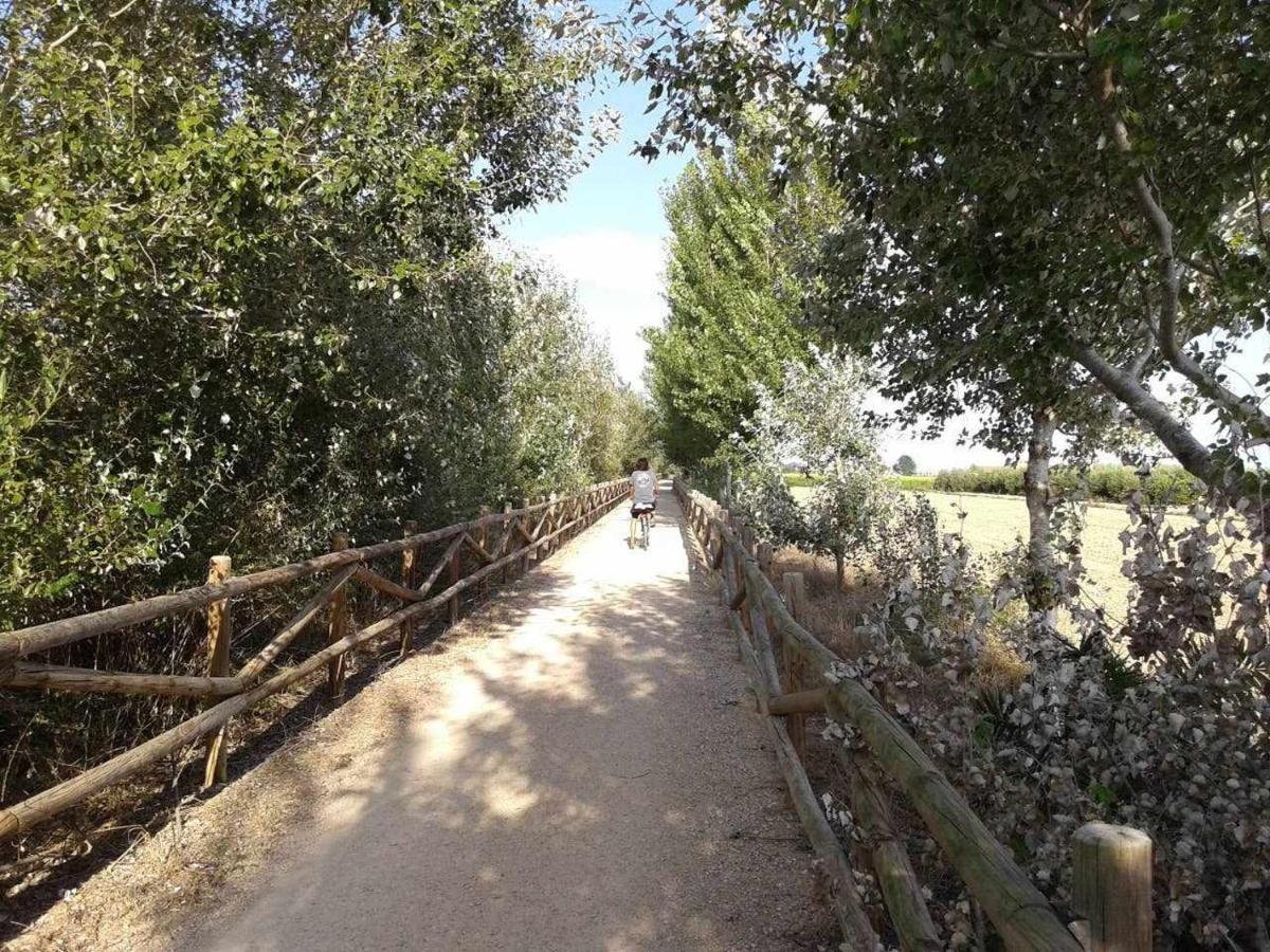 Casetes Del Delta Sant Jaume d'Enveja Bagian luar foto